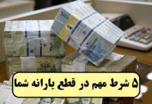 یارانه چه کسانی قطع میشود ؟ 5 شرط مهم