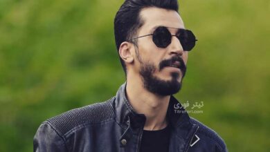 بیوگرافی بهرام افشاری