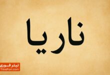 ناریا