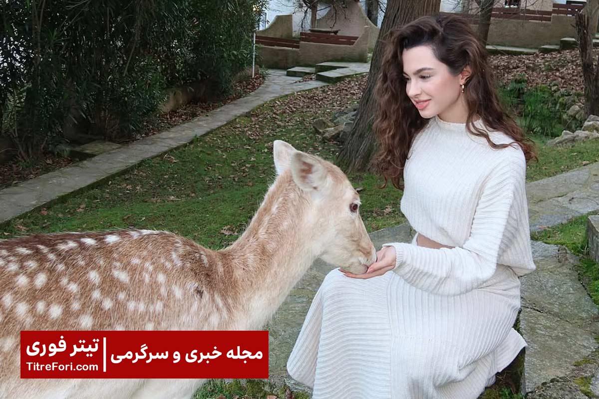 بیوگرافی سو بورجو یازگی جوشکون