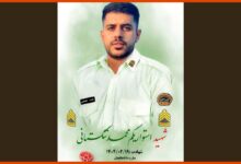 محمد تنگستانی کیست ؟ شهادت استواریکم محمد تنگستانی در بندرلنگه