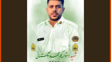 محمد تنگستانی کیست ؟ شهادت استواریکم محمد تنگستانی در بندرلنگه