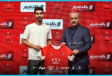 بیوگرافی رضا شکاری