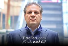 علی اکبر انصاری کیست ؛ مالک بانک آینده و ایران مال
