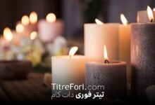مادر مهناز افشار فوت کرد + عکس