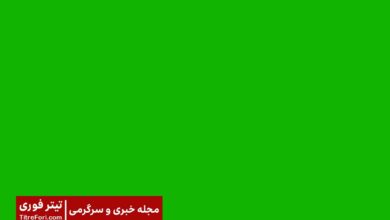 کامیل بوکانی کیست؟ فیلم لو رفته از کامیل بوکانی چه بوده است؟