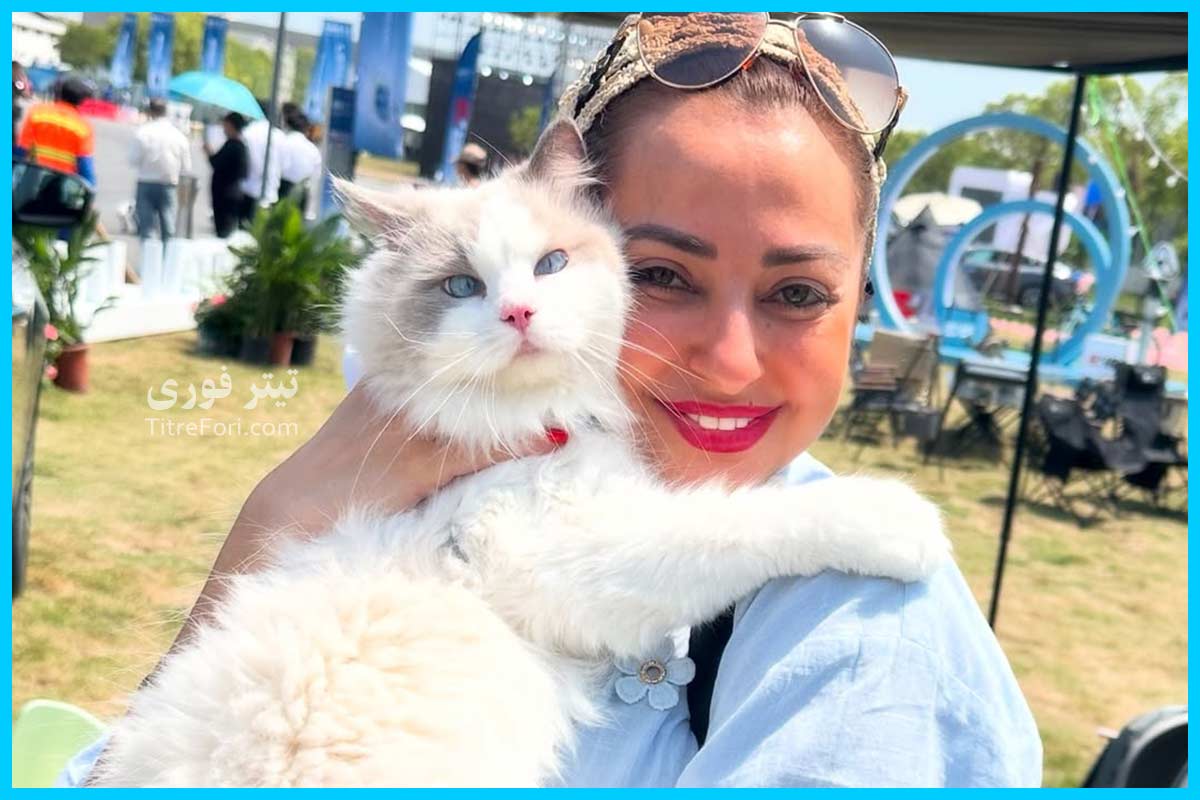 بیوگرافی نفیسه روشن