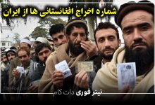 5 شماره جهت جمع آوری افغانی های سطح شهر در کل ایران