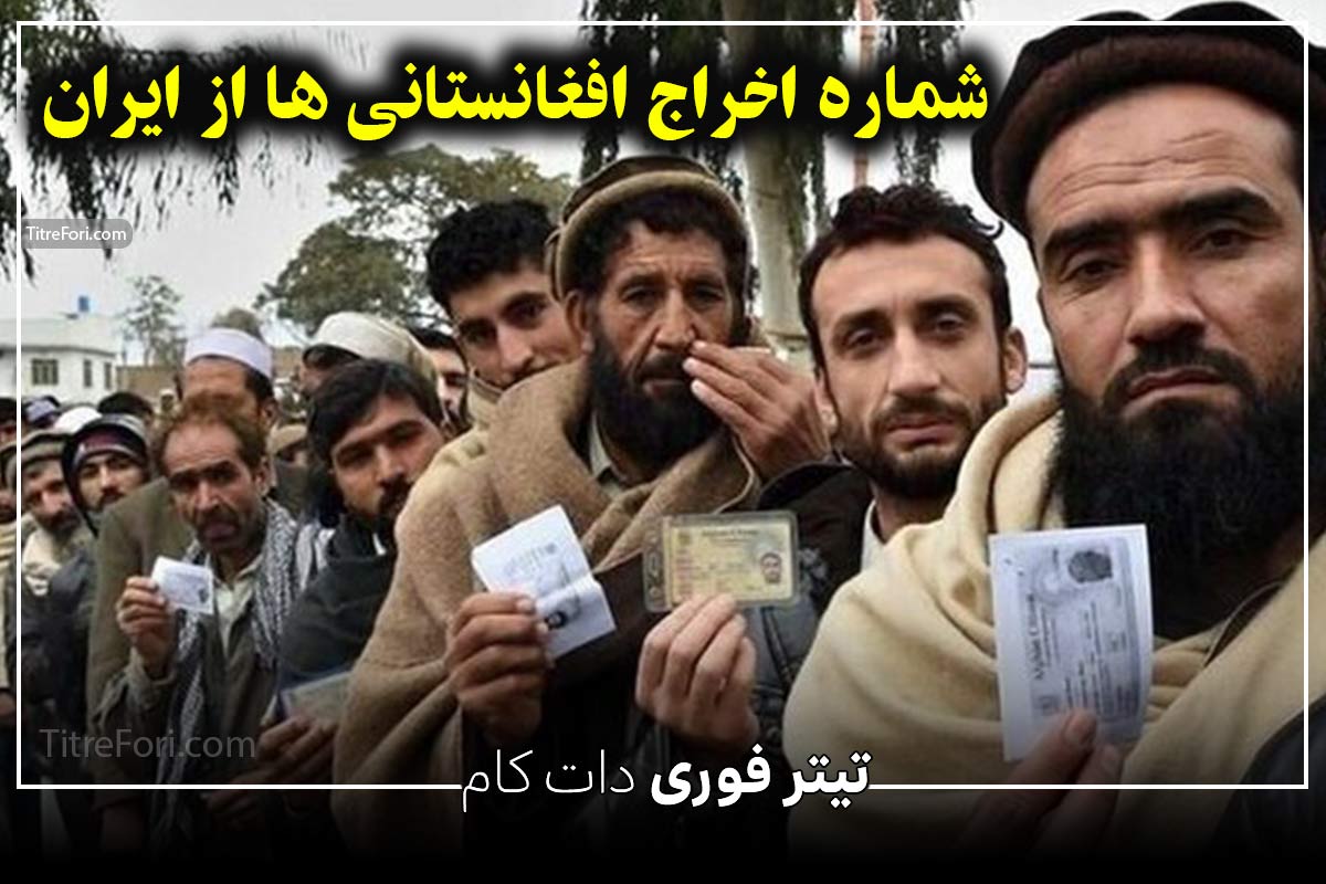 5 شماره جهت جمع آوری افغانی های سطح شهر در کل ایران