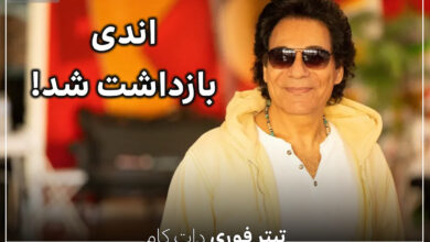 دستگیری اندی در آمریکا ؛ احتمال دیپورت اندی به ایران بعد از دستگیری!