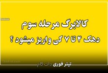 کالابرگ مرحله سوم دهک ۴ تا ۷ کی واریز میشود ؟ | زمان دقیق واریز کالابرگ