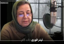 فوت زهره حاتمی، نویسنده کتاب «با حافظ در آلاسکا» در آمریکا + عکس