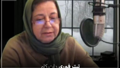 فوت زهره حاتمی، نویسنده کتاب «با حافظ در آلاسکا» در آمریکا + عکس