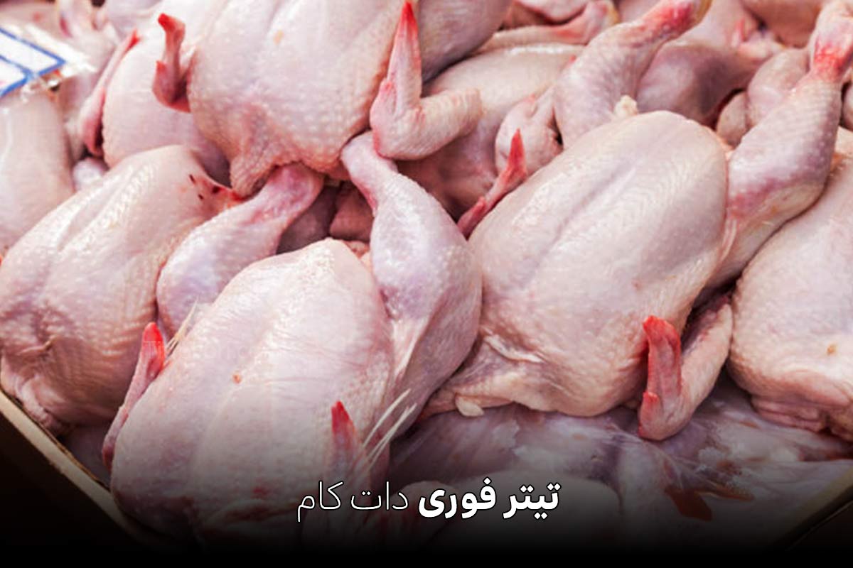 قیمت مرغ امروز 11 تیر 1404 (قیمت رسمی)