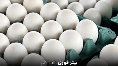 قیمت تخم مرغ امروز 11 تیر 1404