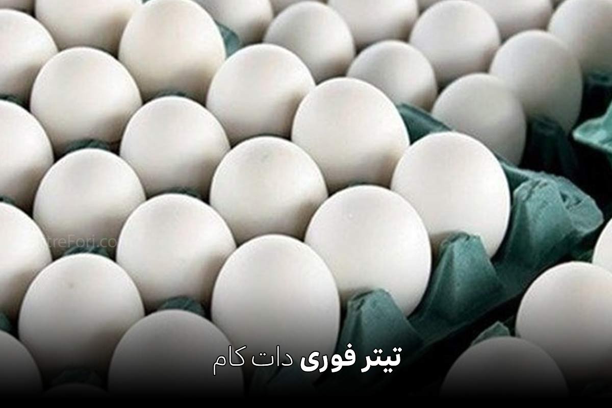 قیمت تخم مرغ امروز 11 تیر 1404