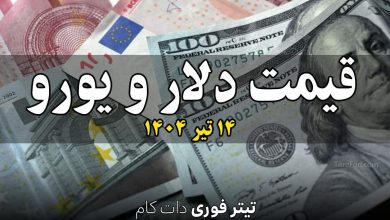 قیمت دلار و یورو امروز شنبه 14 تیر 1404 + جدول